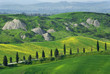 Toscana, le crete senesi 1