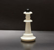 White chess in black backround