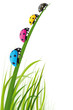 Coccinelles des couleurs de l'imprimerie dans l'herbe Coccinelles des couleurs de l'imprimerie dans l'herbe