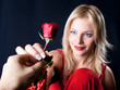 Giving a rose