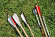 Arrows