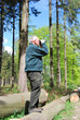 Im Wald