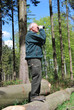 Im Wald