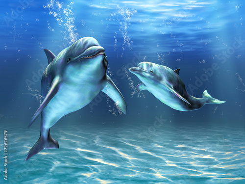 Illustration: Dolphins Dolphins