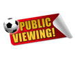 Public Viewing