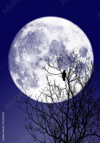 Illustration: Vollmond Vollmond