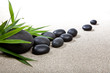 Ambiance zen - pierres noires et bambou