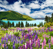 Lake Tekapo, New Zealand
