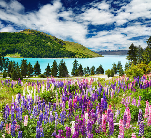 Photo: Lake Tekapo, New Zealand Lake Tekapo, New Zealand