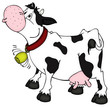 Kuh, Rind, Milch, Milchkuh, Kuhglocke