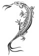 Echse-Salamander-Tribal-Tattoovorlage