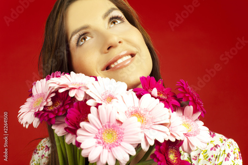 Photo: pink flowers pink flowers