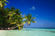 Tropical Paradise at Maldives