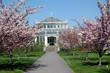 Victorian Glasshouse Springtime