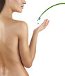 Beaute Corporel