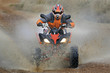 Quad splash