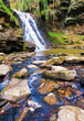Hareshaw Linn