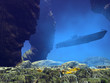 underwater submarine underwater submarine