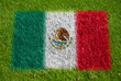 flag of mexico on grass