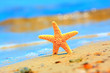 Starfish and ocean wave on sandy tropical beach Starfish and ocean wave on sandy tropical beach