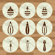 Insect background - set vector