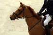Equitation 1 Equitation 1