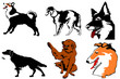 Dogs a silhouette and a head colour a collection