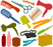 Set of a hair-stylist accessories