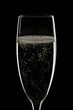 Closeup of champagne glass