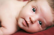 Baby face