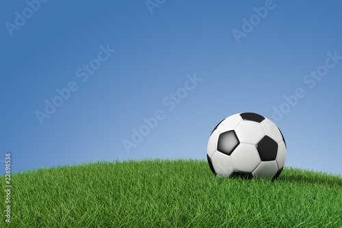 Illustration: Soccer ball on grass Soccer ball on grass