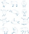 sheep set
