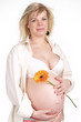 Pregnant woman with hands over tummy