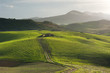 Dirt Road And Rolling Field Dirt Road And Rolling Field