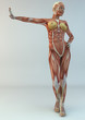 anatomy medicine study photorealistic human figure leaning