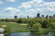 central park 5