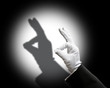 Rabbit shadow puppet