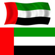UAE flag