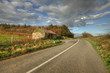 Irish Cottage ruins Irish Cottage ruins