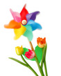 Girandola in movimento e tulipani