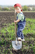 Little boy to dig on field with big shovel, looking to camera