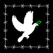 No freedom