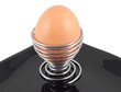 boiled egg in holder on white background