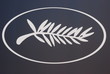 festival de cannes