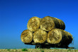 Foto: Balls of straw Balls of straw