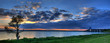 Tree against sunset Panorama