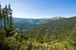 Tschechischer Wald