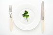 Fork, knife and plate