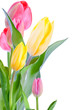 Bunch of fresh flowers on white background