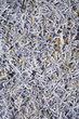 shredded paper